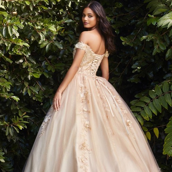 NEW CHUMPAGNE DRESS SWEETHEART NECKLINE LAYERED TULLE BALL GOWN PROM DRESSCD0185 - Picture 6 of 7